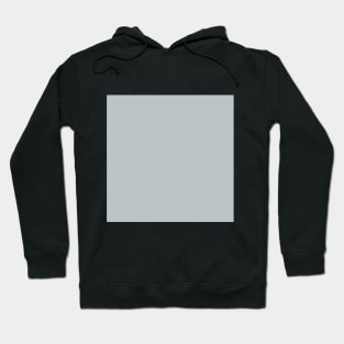 Solid Platinum Light Gray Monochrome Minimal Design Hoodie